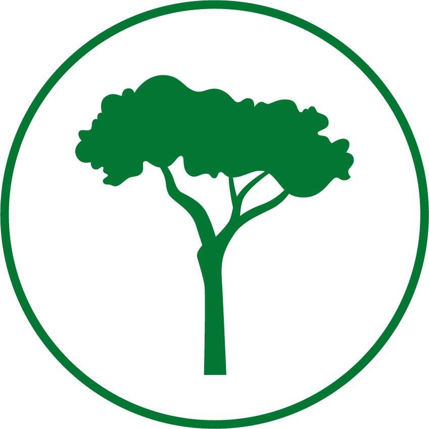 Funding for CommunityLed Tree Planting Projects Community 360