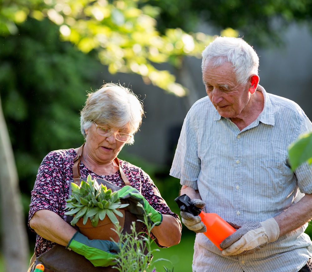 Community Dementia Grants Community 360